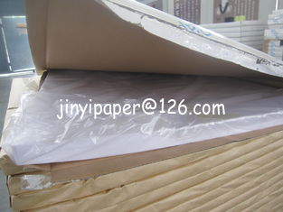 China 700*1000mm ncr paper in sheet proveedor